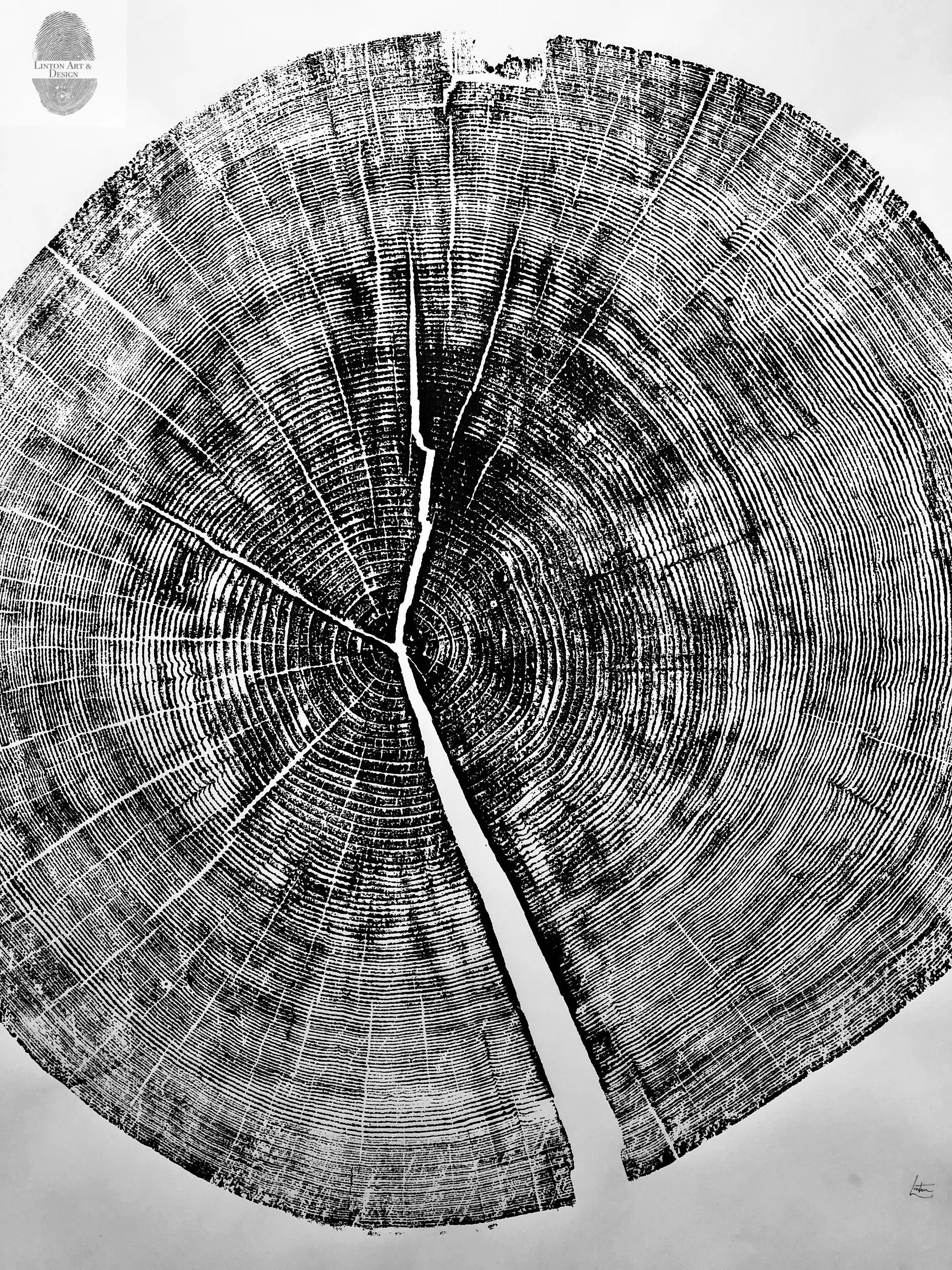 Yosemite National Park, California Pine - 36x36 print