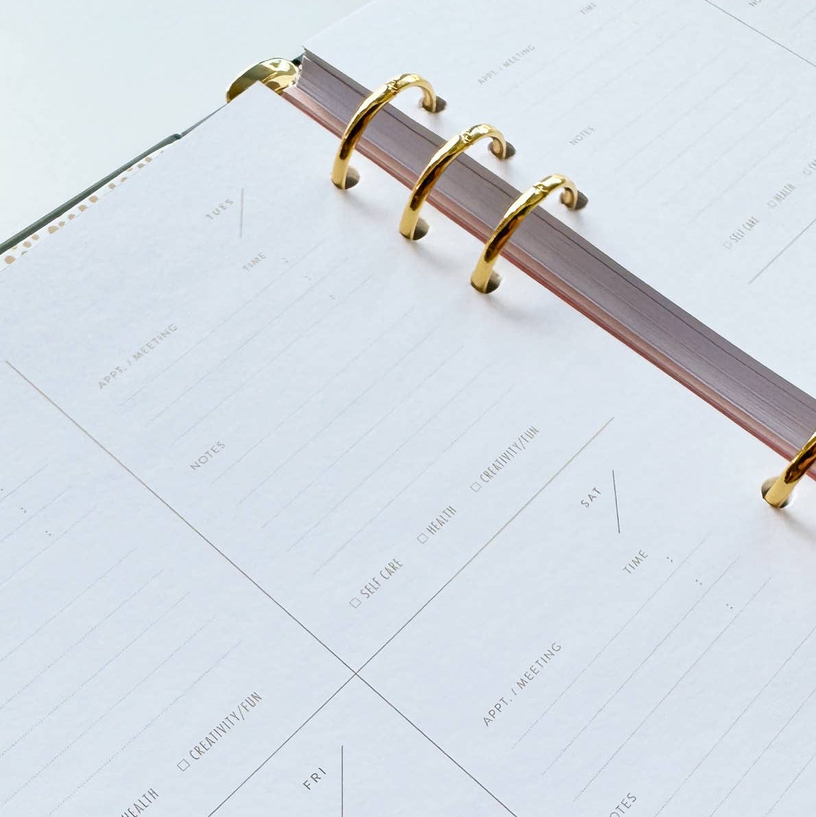 Planner with gold ring binding on a white surface