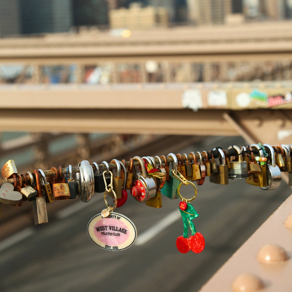 Decorative padlocks with charms on a bridge with a city skyline in the background