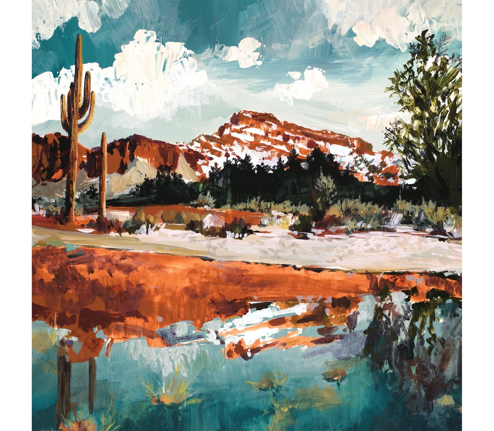 Red Mesa Print