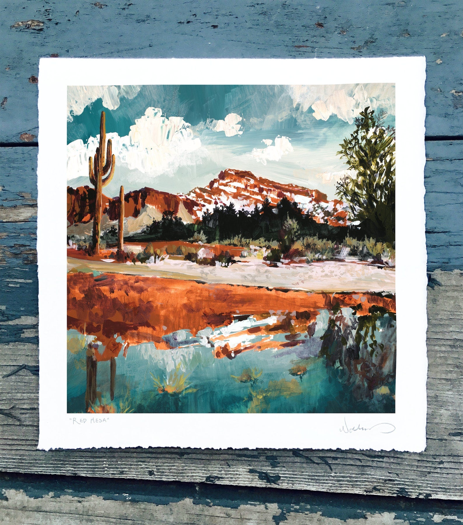 Red Mesa Print