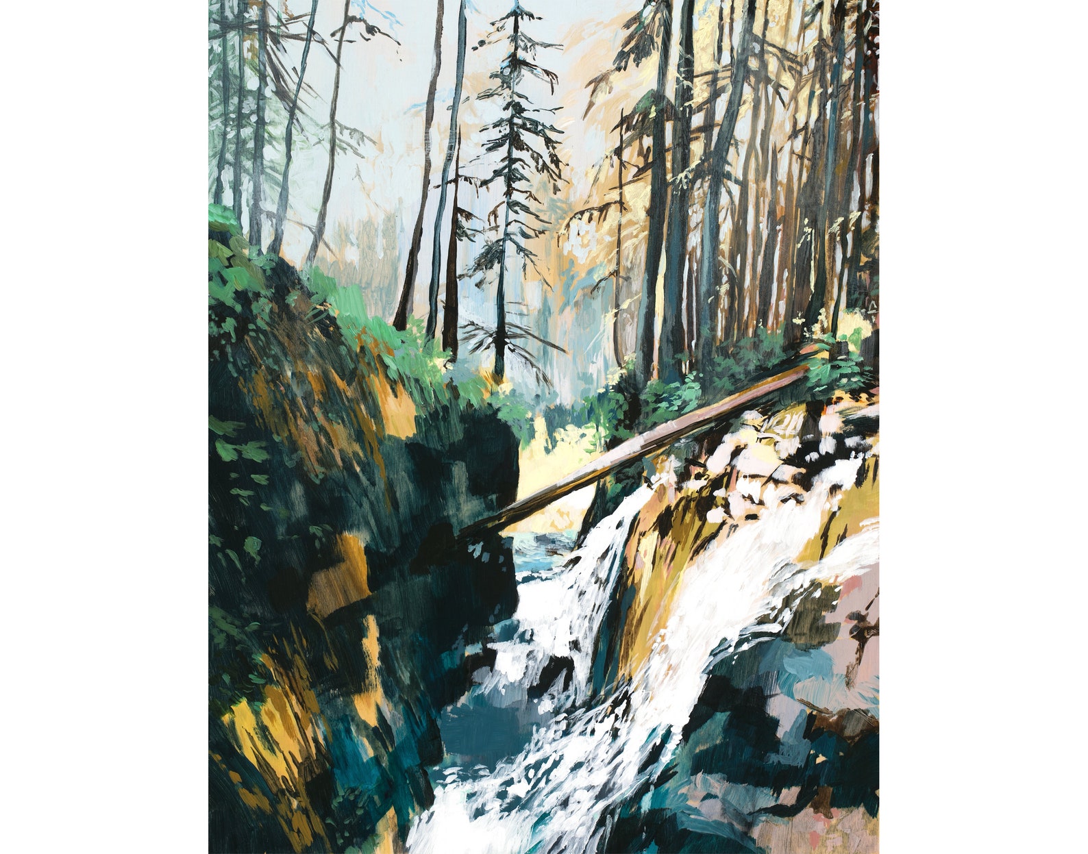 Sol Duc Falls Print