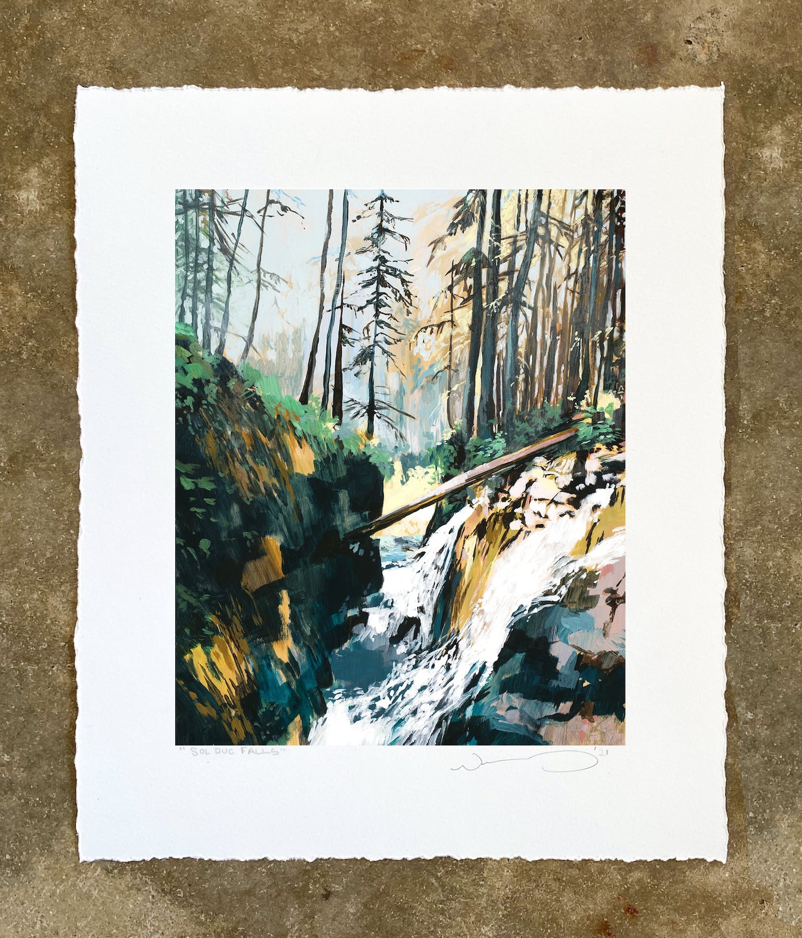 Sol Duc Falls Print