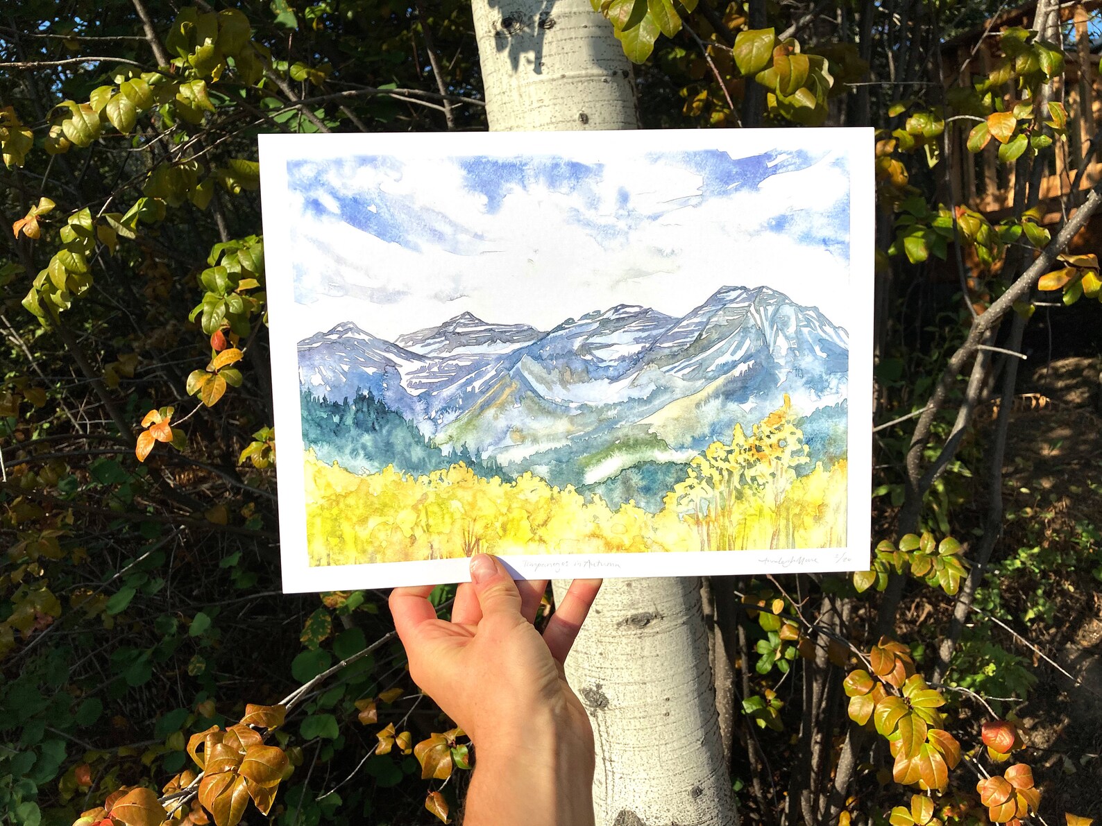 Timpanogos in Autumn Print