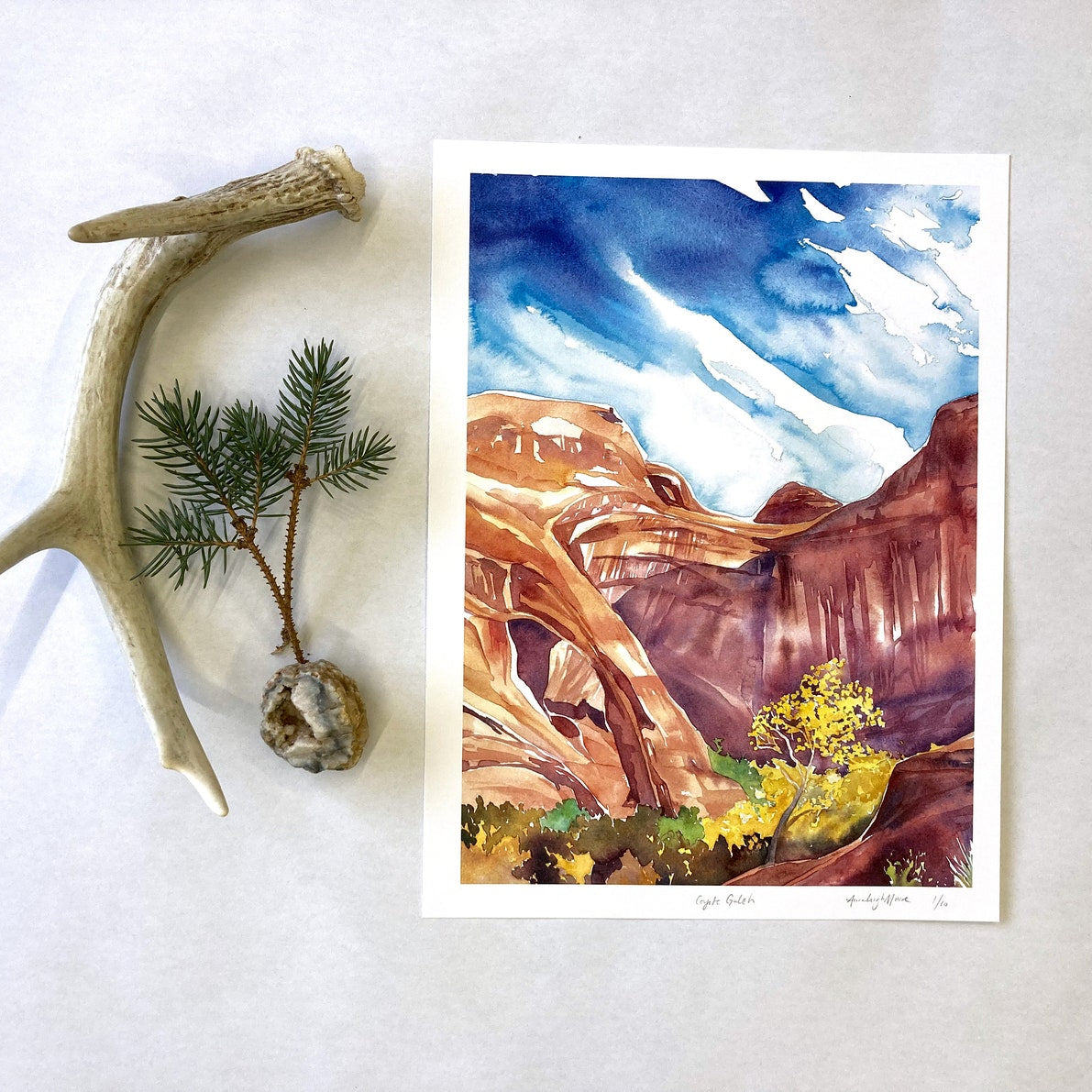 Coyote Gulch Print
