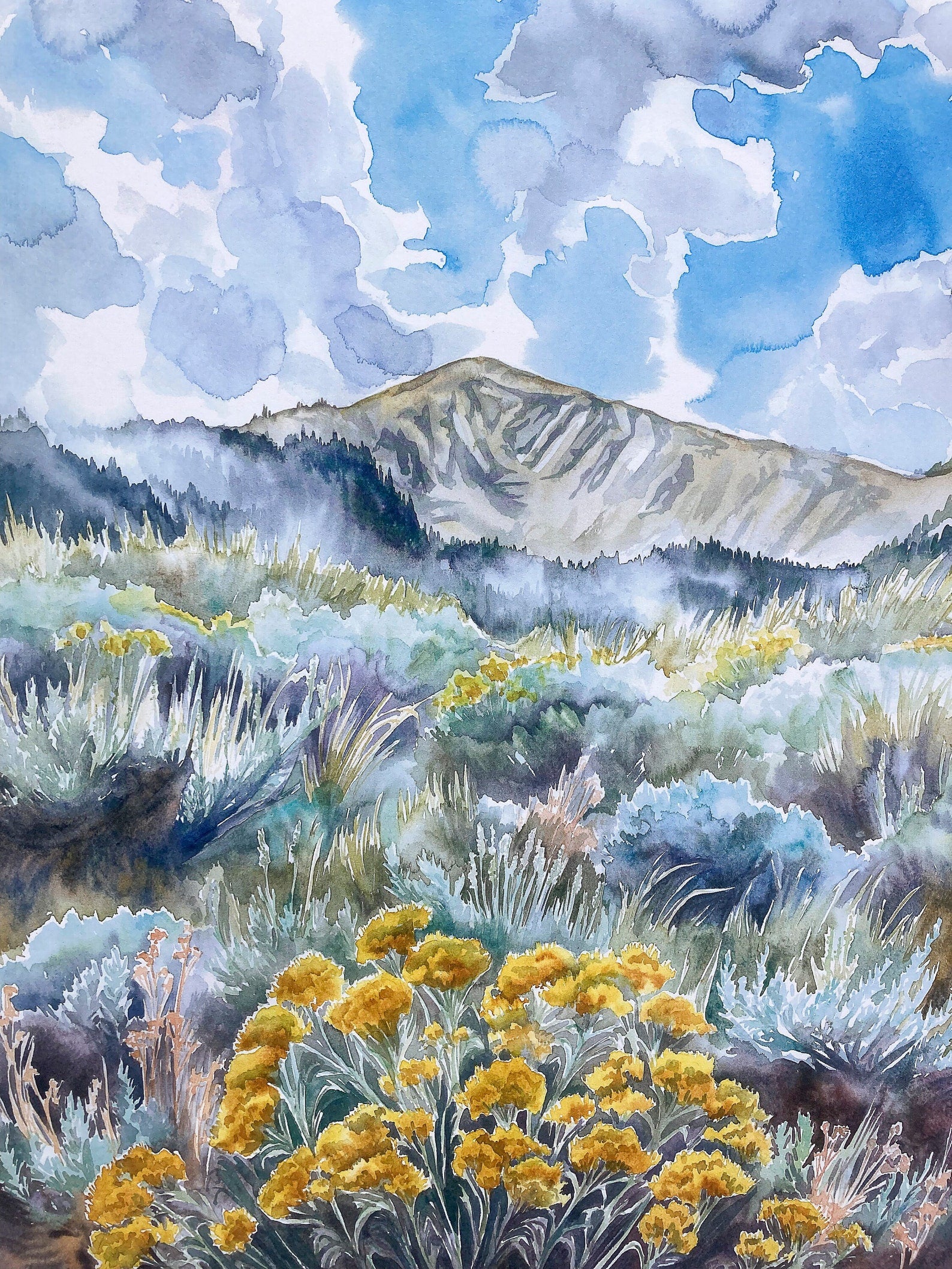 Mountain Bloom Print