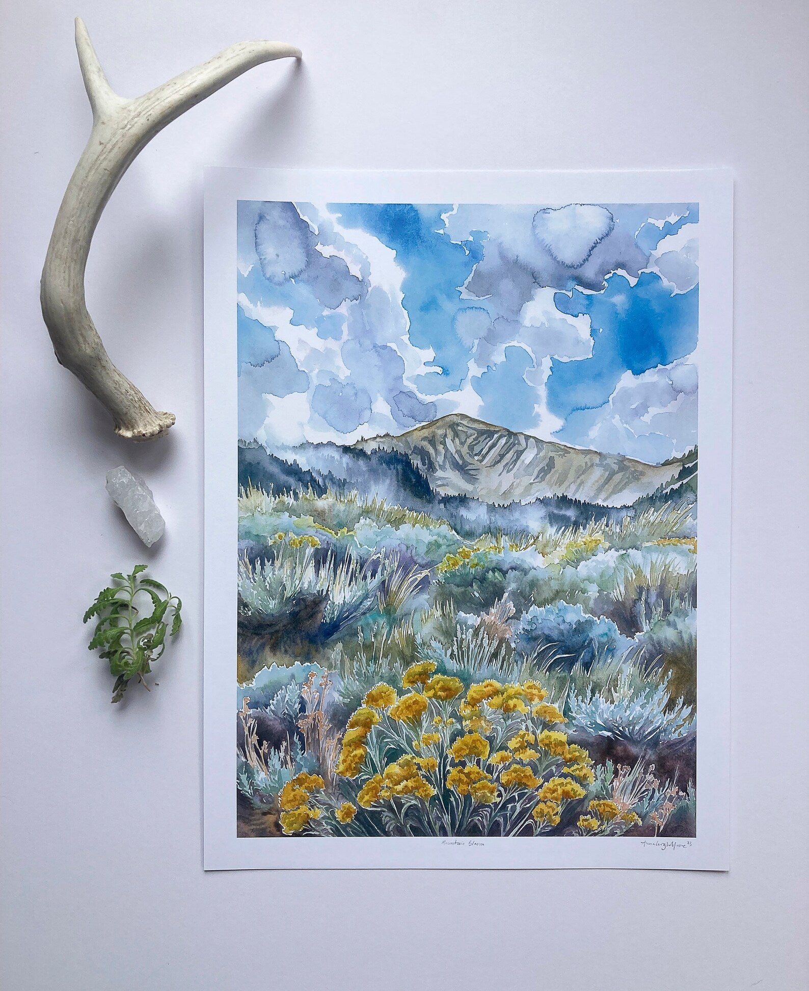 Mountain Bloom Print