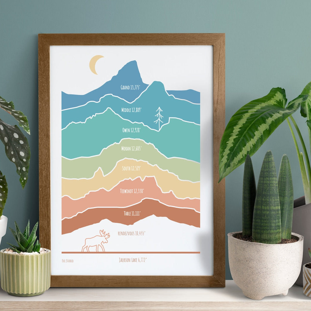 Tetons Mountains Elevations Print