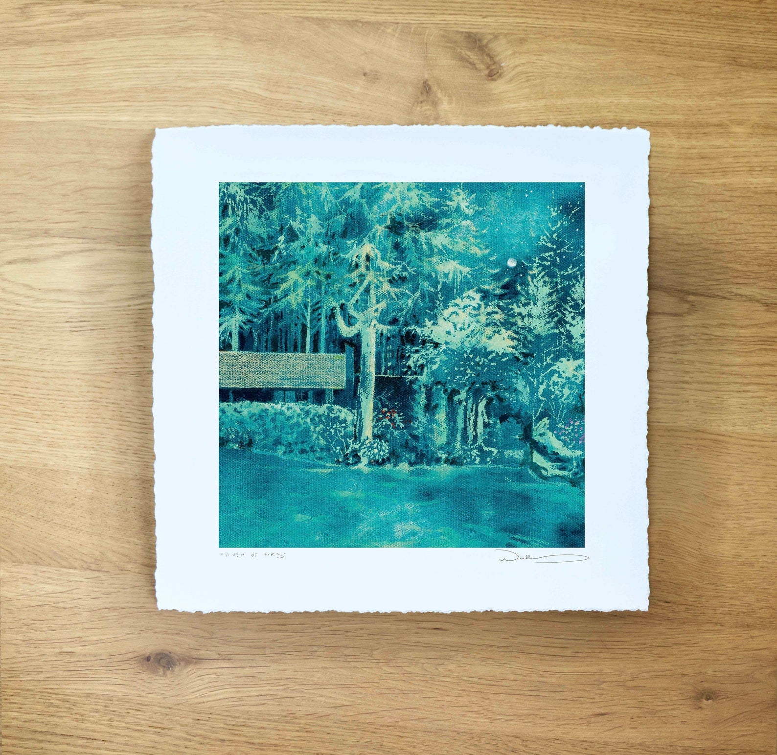 Hush of Firs Print