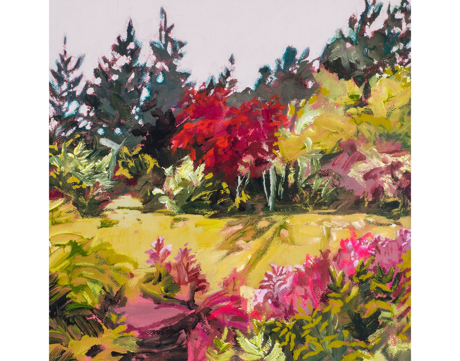 Across the Lawn Print