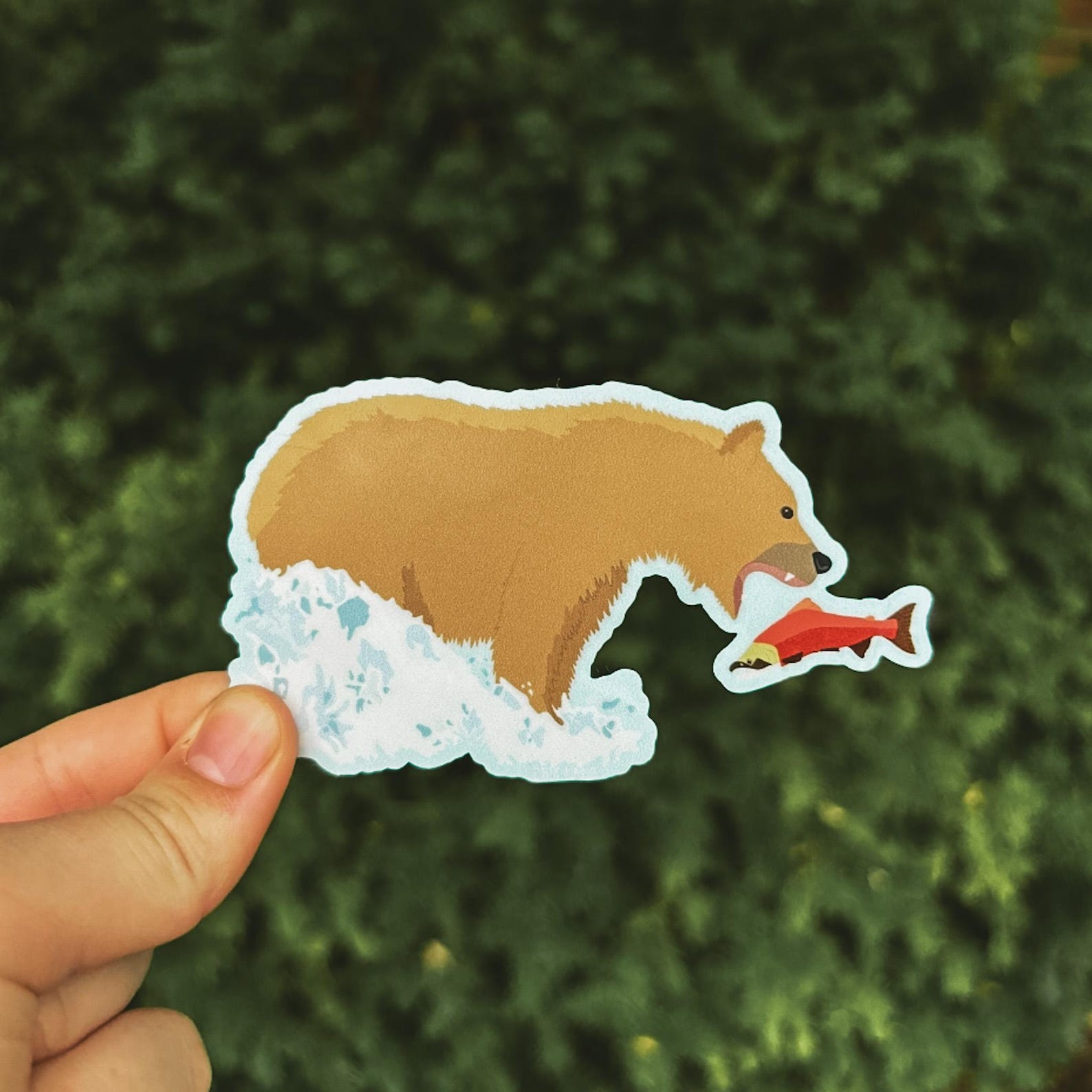 bear catching salmon sticker
Width: 3.75 inches