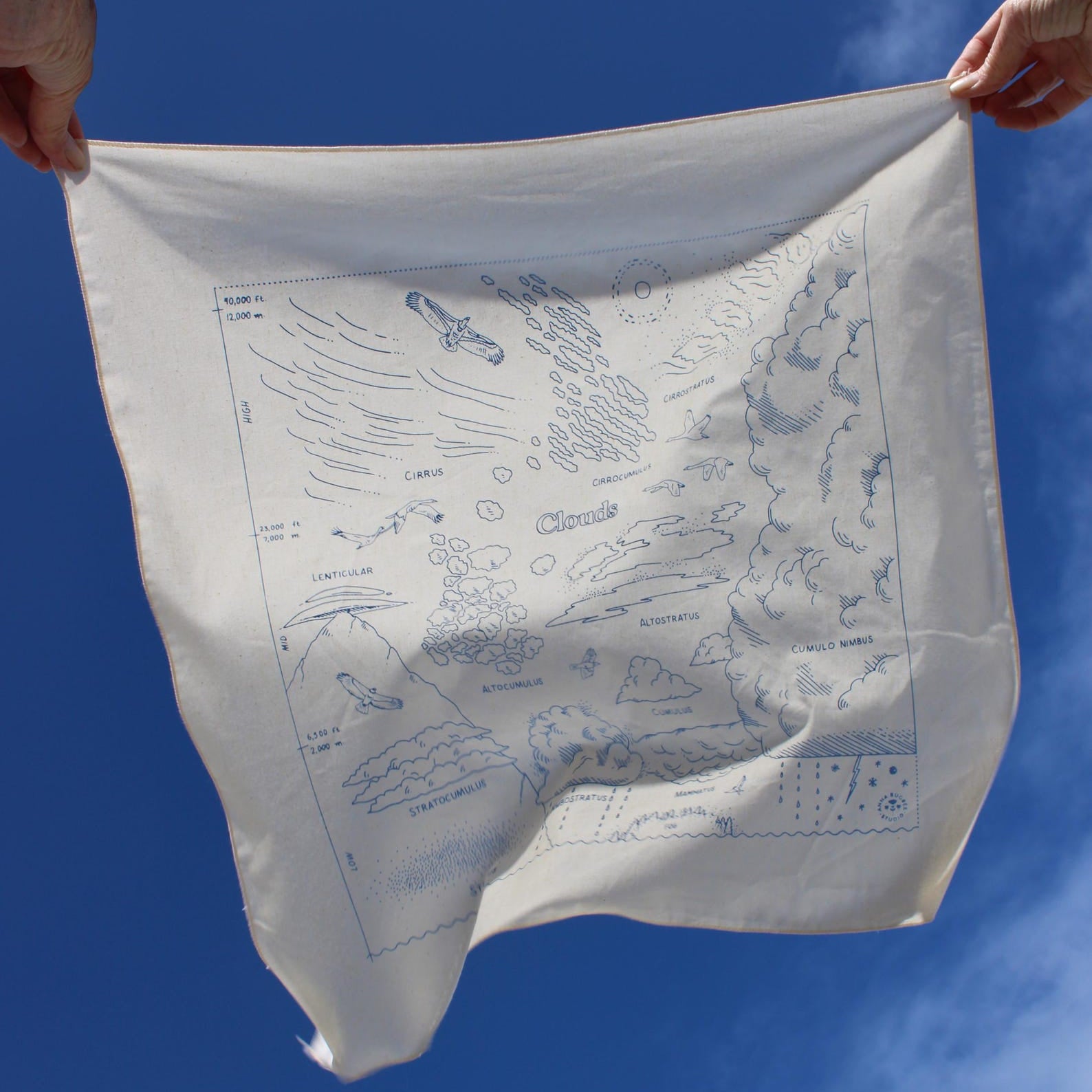 Cloud Bandana