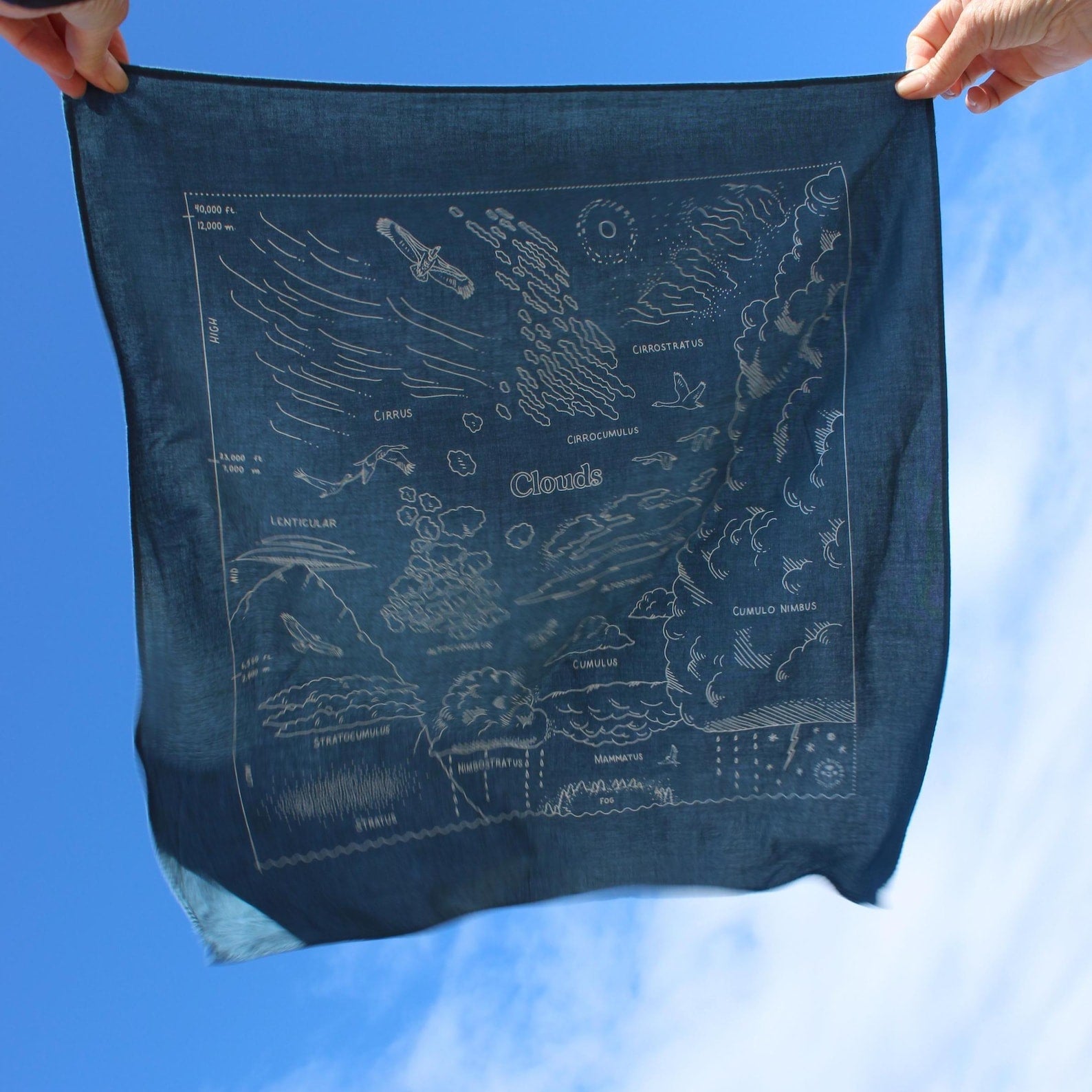 Cloud Bandana