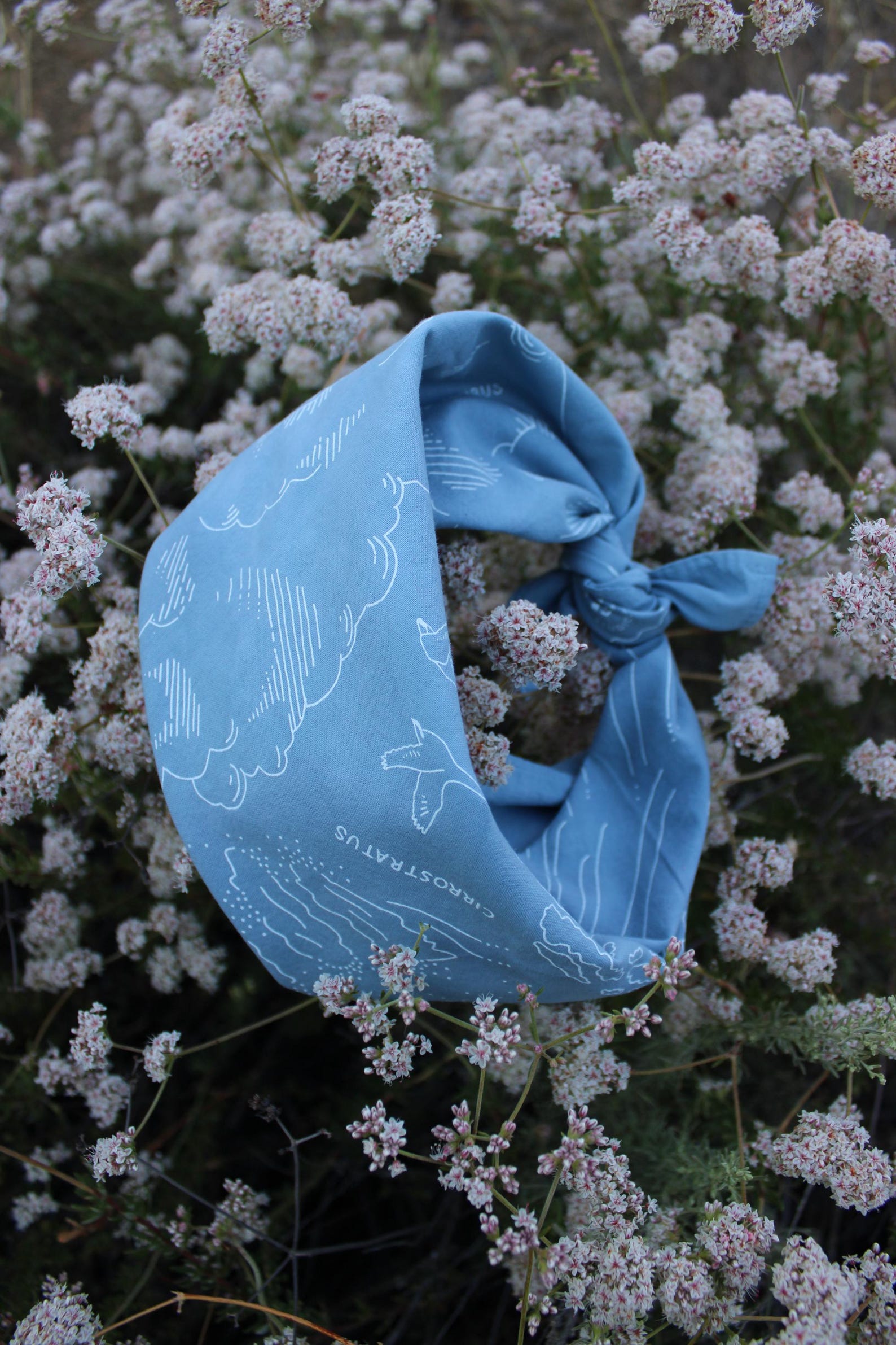 Cloud Bandana