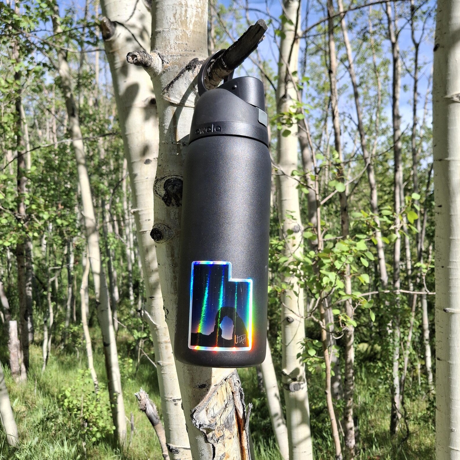 Utah Night Sky Sticker