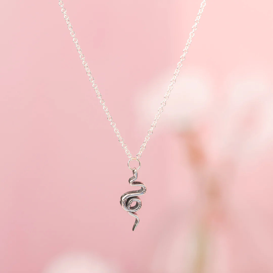 Silver Celestial Snake Necklace