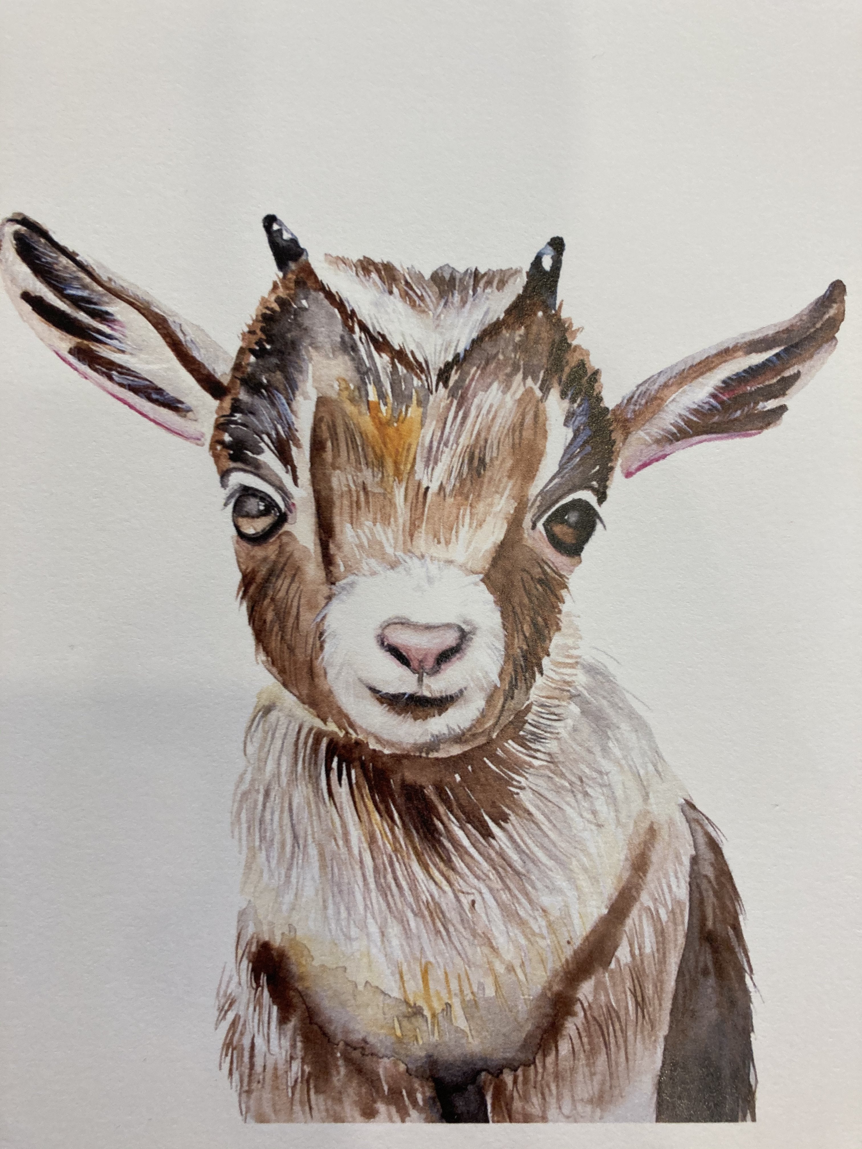 Watercolor Animal Sticker - Jenn Seely