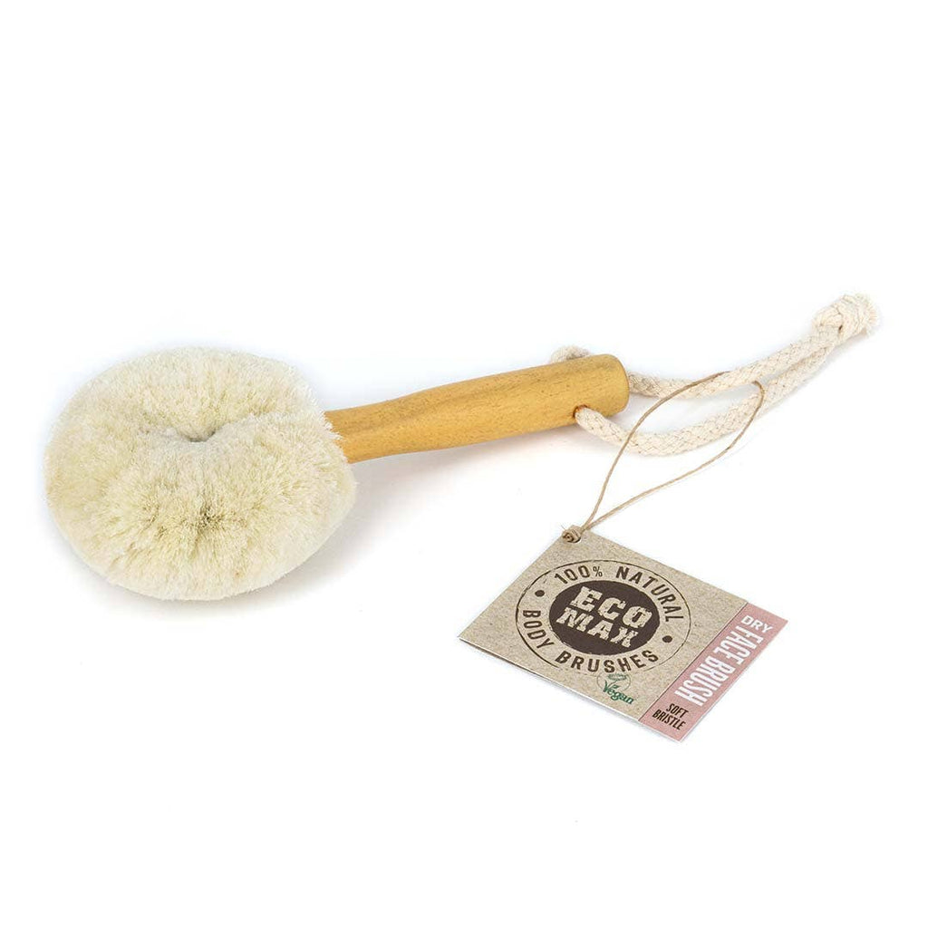 Premium quality (Medium Bristle, Dry Brush) Handmade from natural sisal, which is a form of cactus, this brush has an ideal medium strength vegetable fiber perfect for dry body brushing. The coconut string handle provides a good grip as does the sustainable timber toggle and cotton cord. Dry body brushing is a completely natural way to gently exfoliate, while increasing circulation and stimulating the lymphatic system to help detoxification.