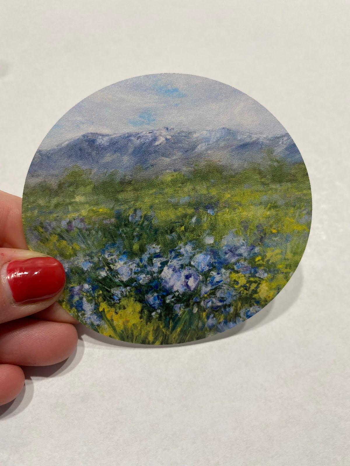 Assorted Stickers - Adrienne Leishman Art