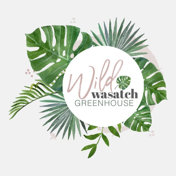 wild wasatch market Logo