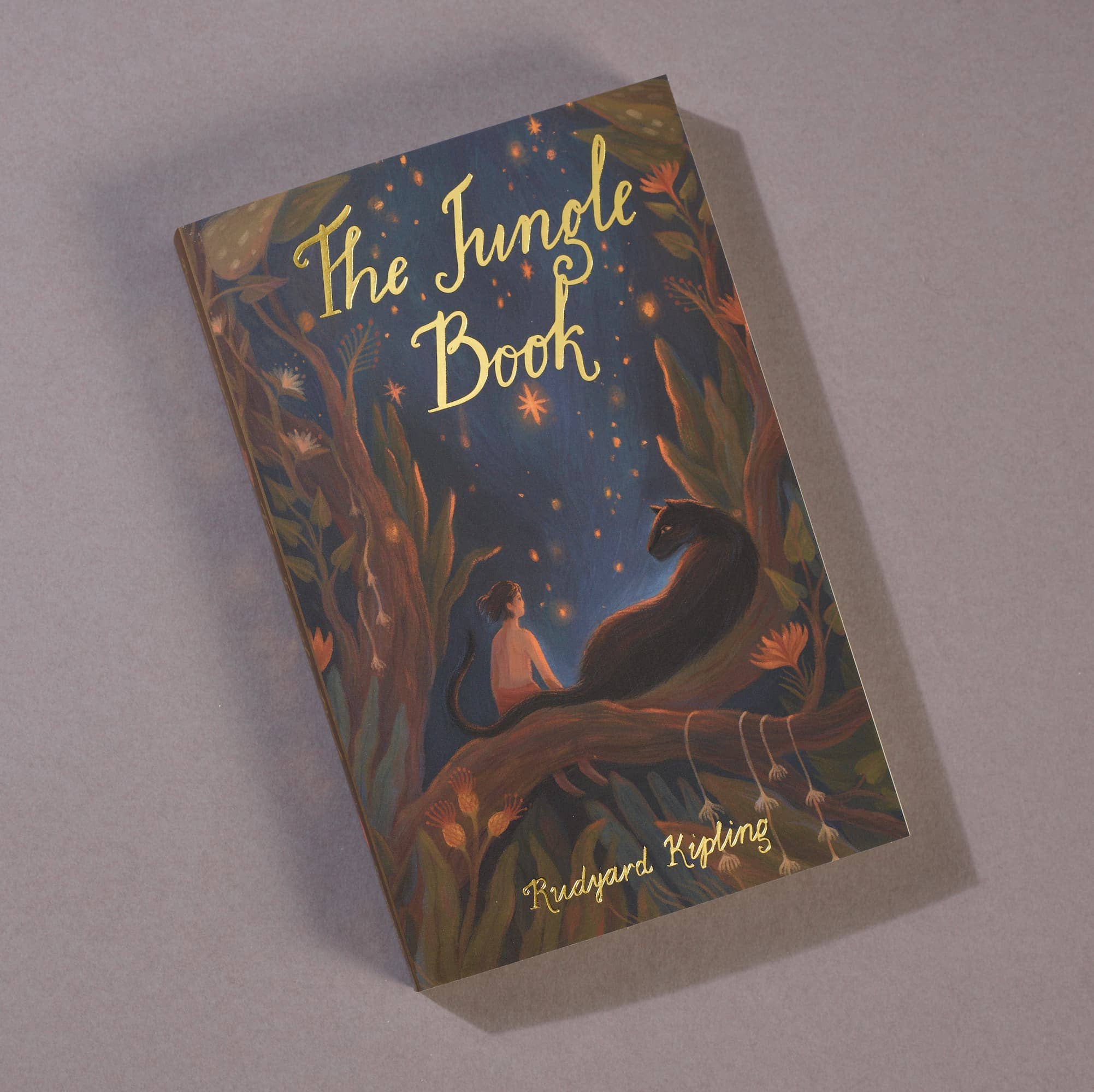 Book titled 'The Jungle Book' with a cover illustration of a panther and a person in a forest setting.