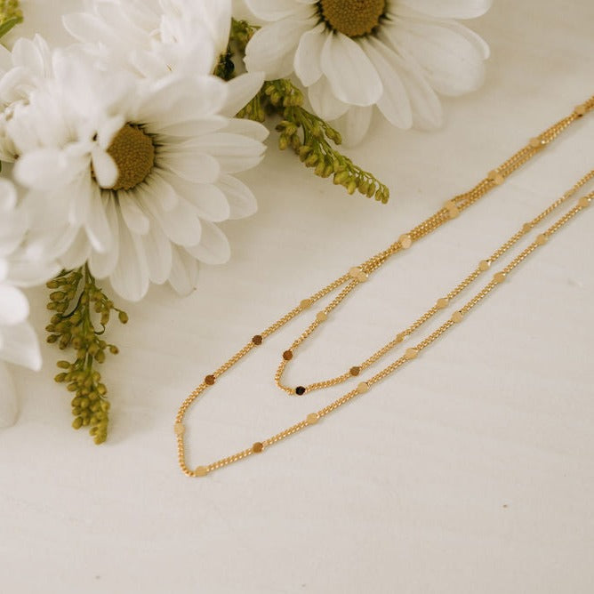Nora Gold Filled Necklace - Mauve Jewelry Co.