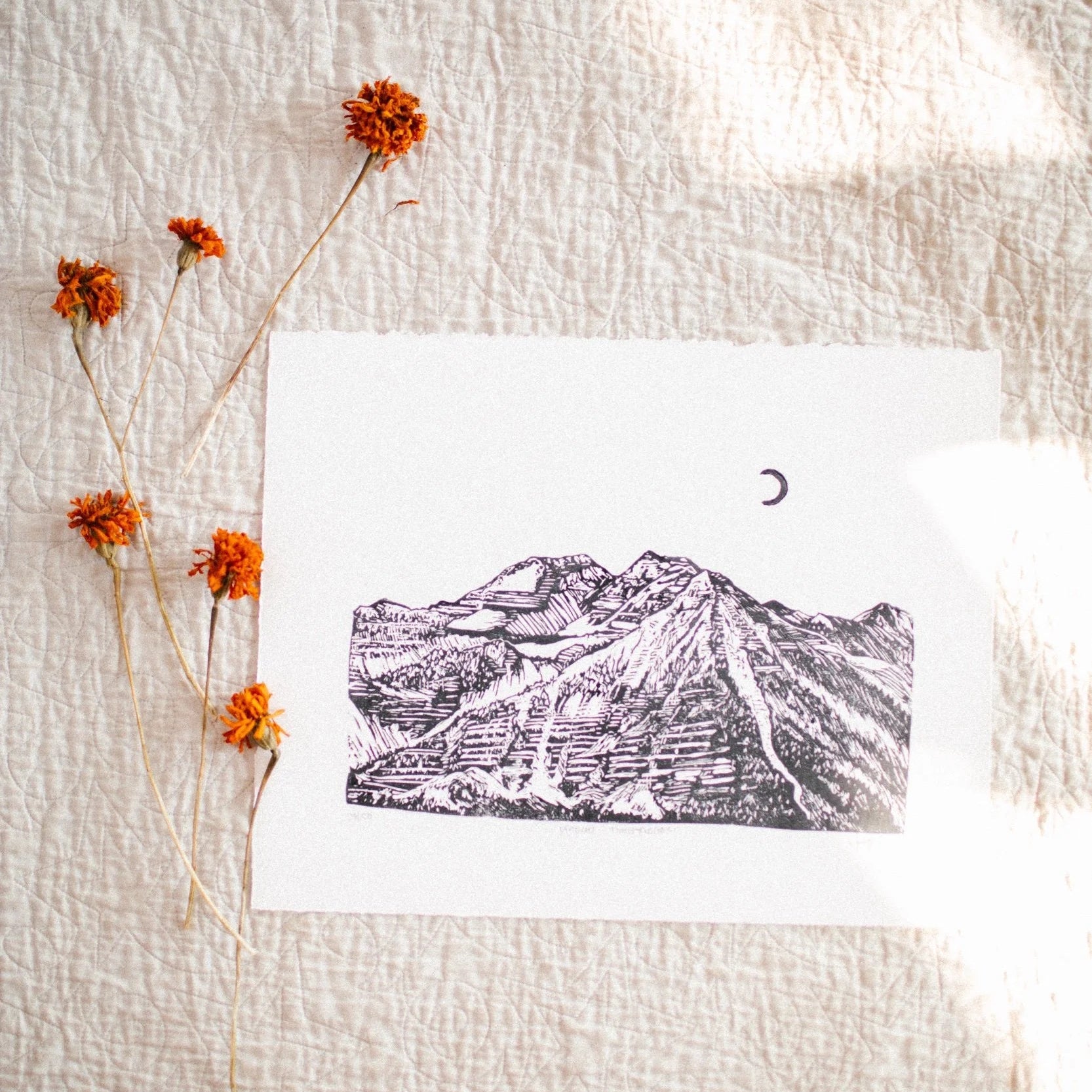 Timpanogos - Framed