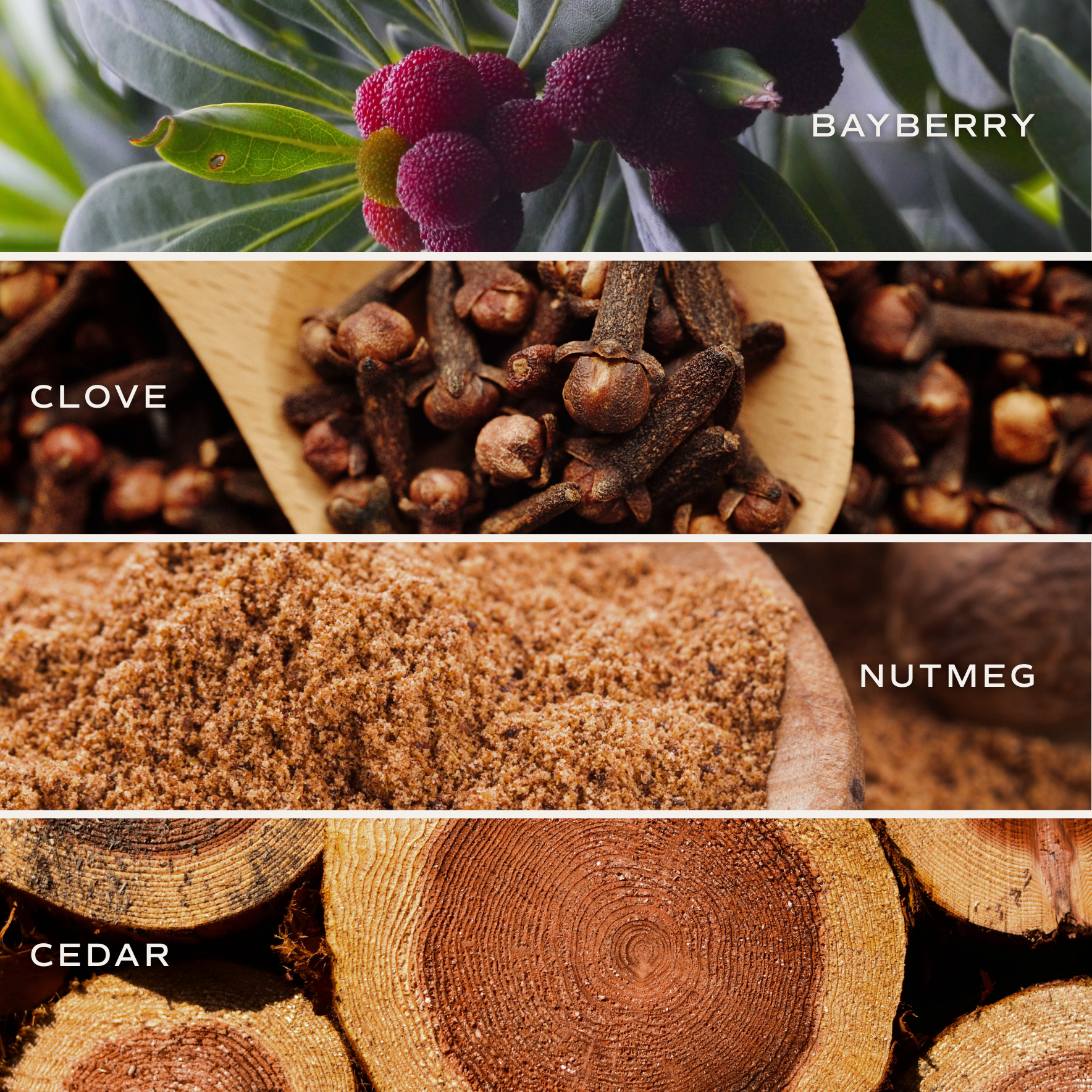 Collage of bayberry, clove, nutmeg, and cedar with labels.