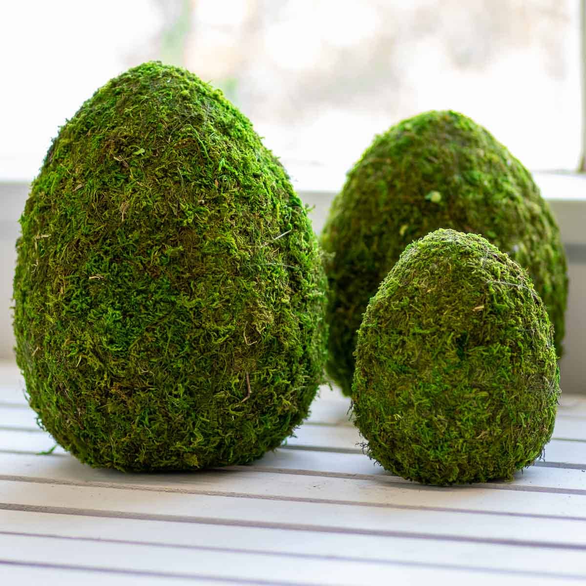 This Belmont 6.5" Egg Moss Decor Green is the perfect addition to your home decor. The beautiful green color and unique design will add a touch of nature to any room. Its lightweight and durable construction makes it easy to display anywhere, providing a sense of calm and tranquility. Elevate your home's ambiance with this lovely decorative piece
