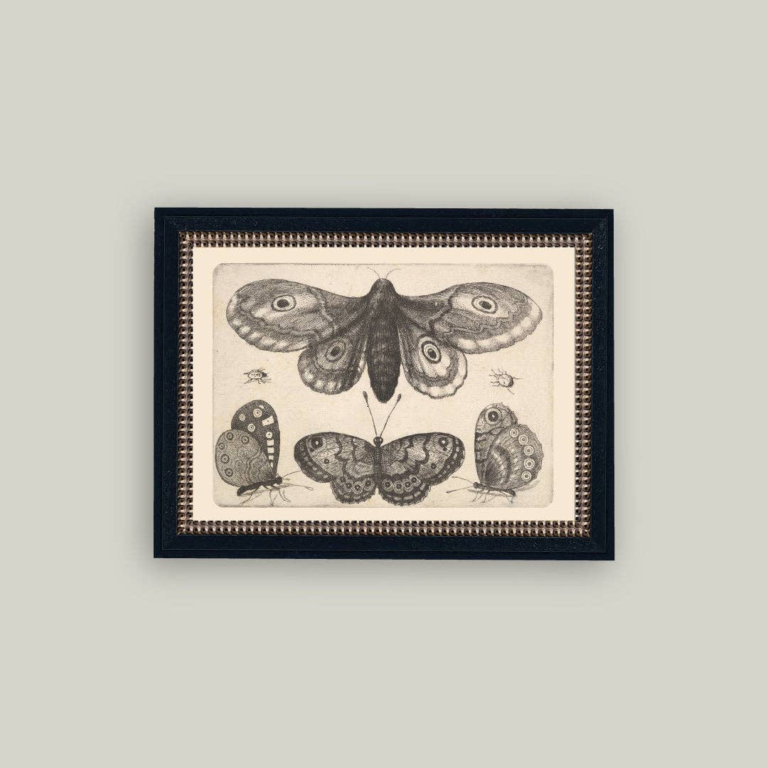 Various Insects Framed Antique Art