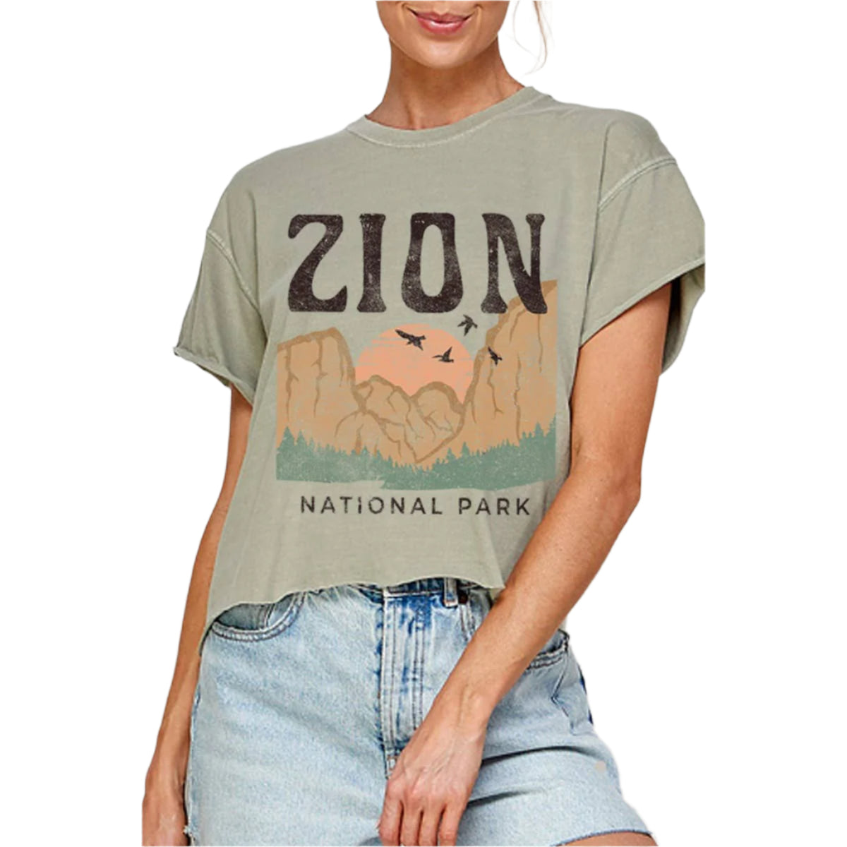 Person wearing a t-shirt with Zion National Park design on a plain background. Sandstone
