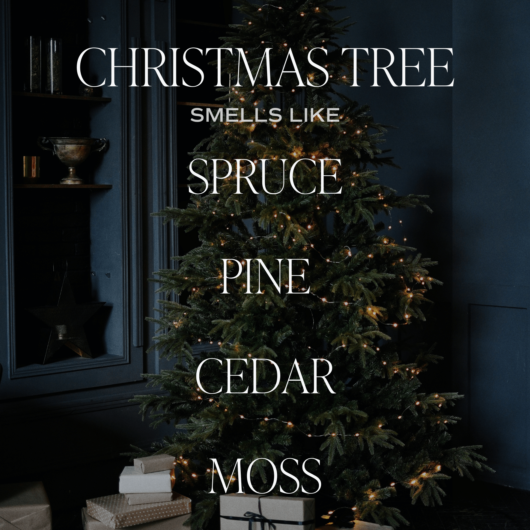 Decorated Christmas tree with lights against a dark wall, text describing tree scent.