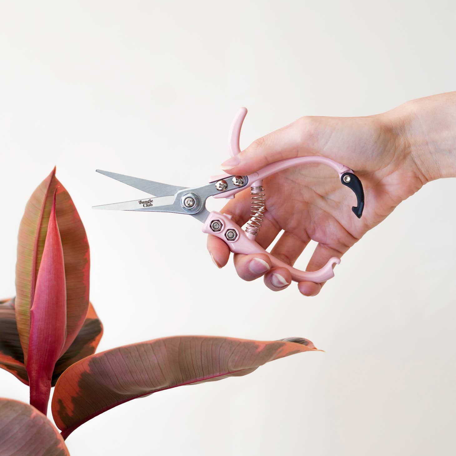 Pruning Shears - 3 Colors Available