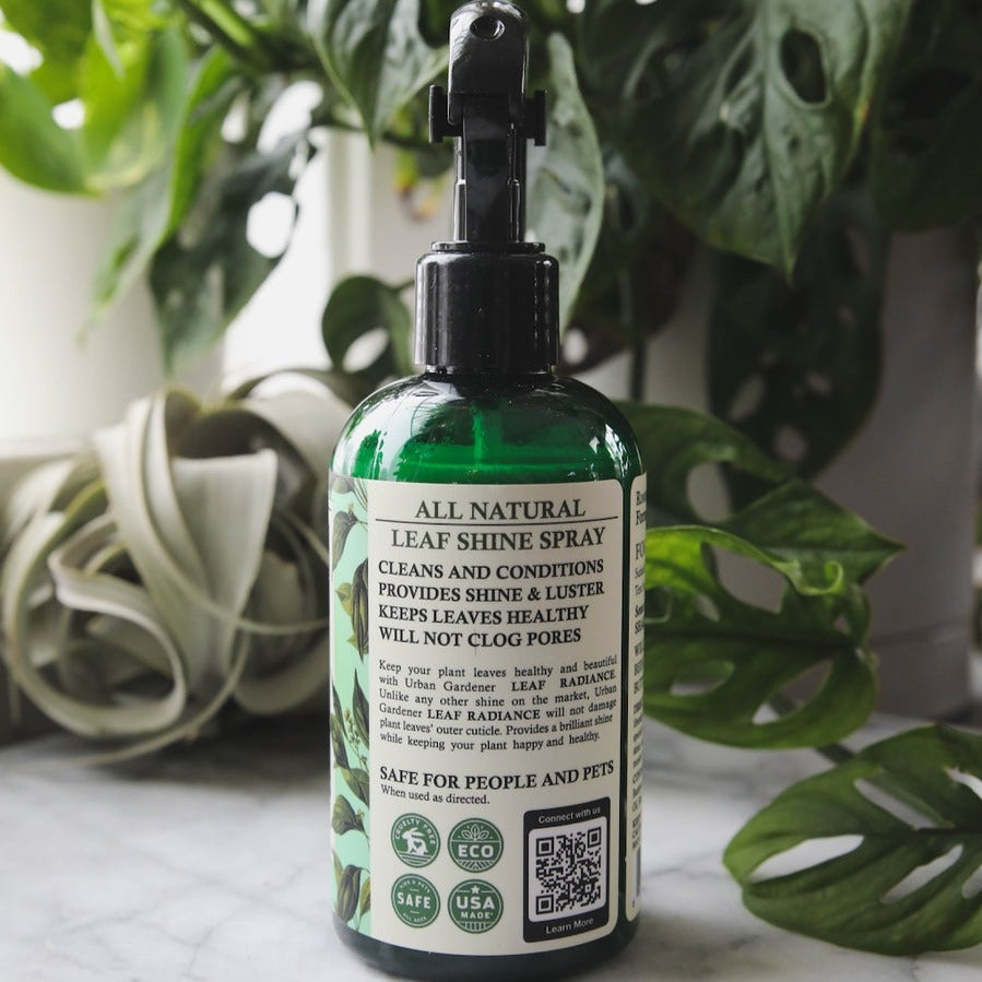 Keep your houseplant leaves healthy and beautiful with Urban Gardener's Leaf Radiance. Unlike any other shine on the market, Leaf Radiance uses only non-mineral oils that will not damage leaves' outer cuticles or clog pores used in respiration. Let your plant breathe easily while enjoying a radiant glow from its leaves