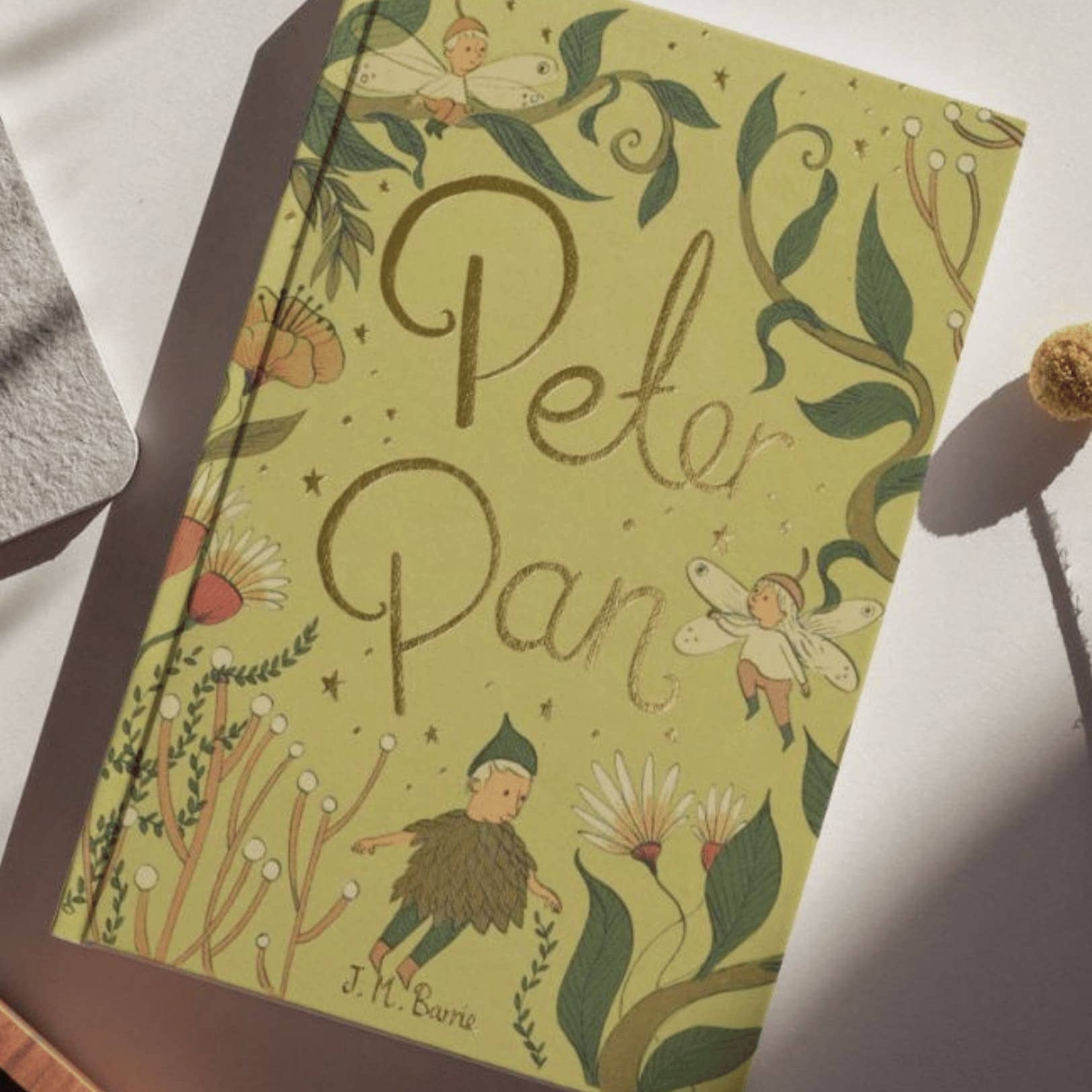 Book titled 'Peter Pan' with a green cover featuring illustrations of characters and foliage.