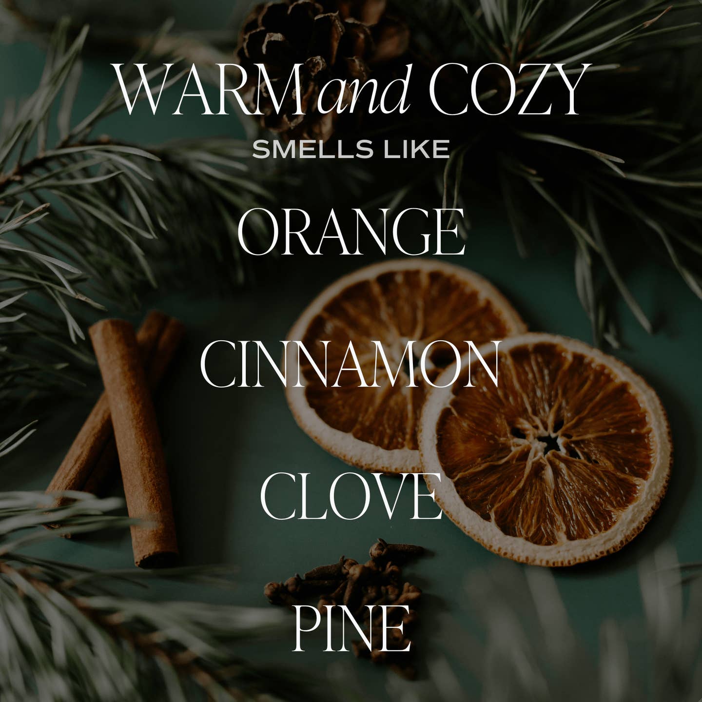 Text 'Warm and Cozy Smells Like Orange Cinnamon Clove Pine' with dried oranges, cinnamon sticks, and pine branches on a dark background.