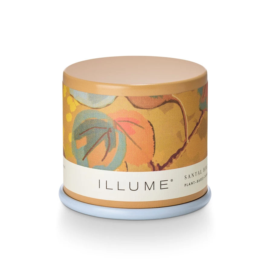 Grounded in resinous amber, with a heart of saltwater sandalwood, and kissed with breezy eucalyptus.
