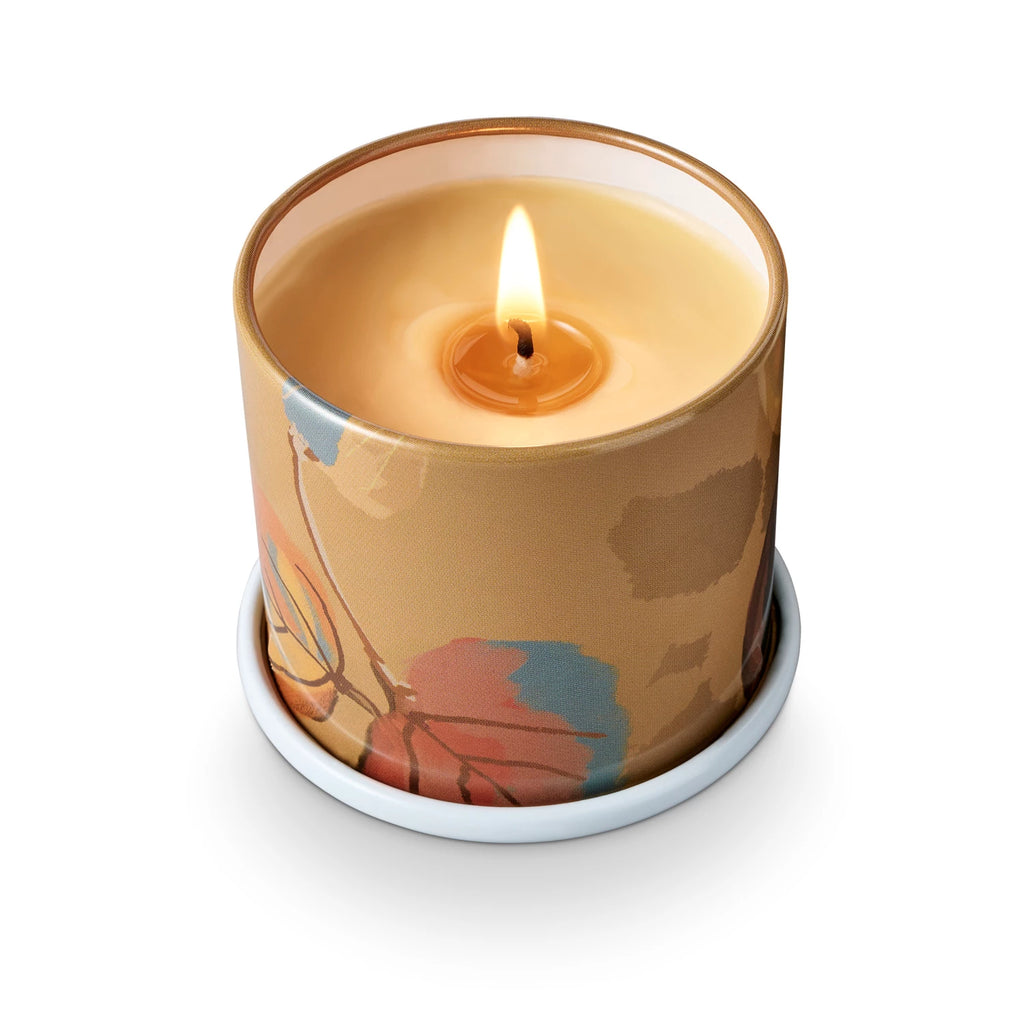Grounded in resinous amber, with a heart of saltwater sandalwood, and kissed with breezy eucalyptus.
