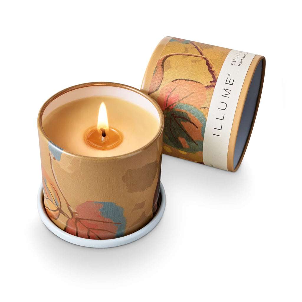Grounded in resinous amber, with a heart of saltwater sandalwood, and kissed with breezy eucalyptus.