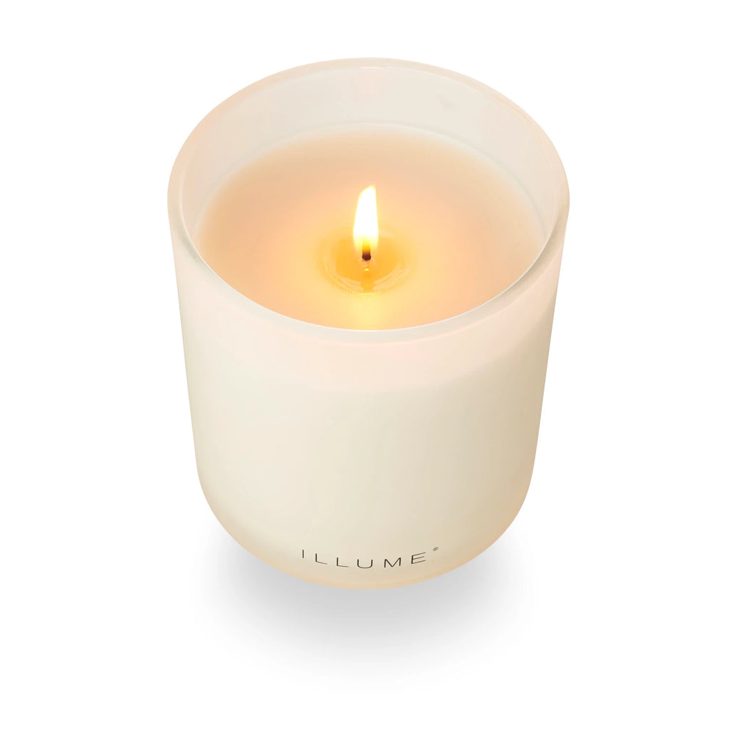 Beautifully Done Driftwood is grounded in amber sand with a heart of citron blossom kissed with ocean mist. A timeless staple designed with a soft frost finish, colored wax, and a translucent foot for added elegance.