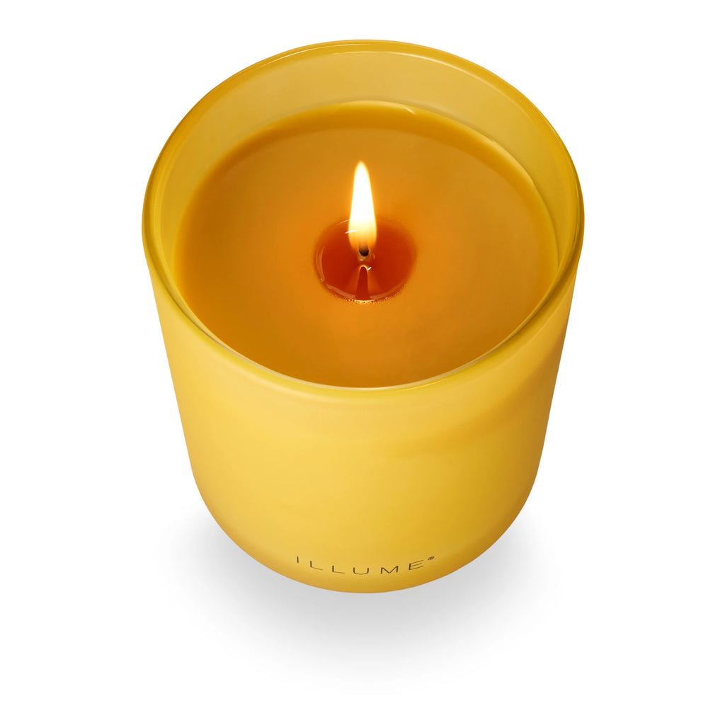 Candle Fragrance

Grounded in white oak, with a heart of ripe rhubarb, and kissed with honeyed nectarine.