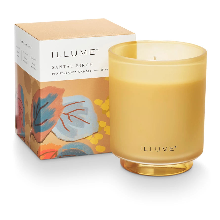 Candle Fragrance

Grounded in resinous amber, with a heart of saltwater sandalwood, and kissed with breezy eucalyptus.