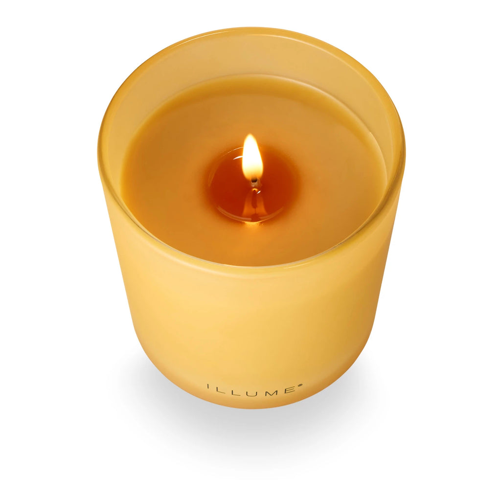 Candle Fragrance

Grounded in resinous amber, with a heart of saltwater sandalwood, and kissed with breezy eucalyptus.