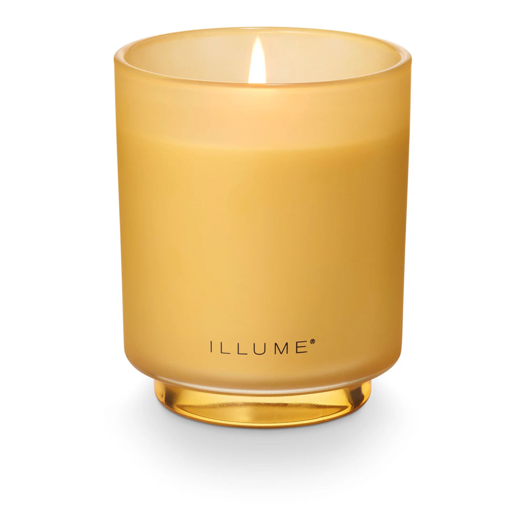 Candle Fragrance

Grounded in resinous amber, with a heart of saltwater sandalwood, and kissed with breezy eucalyptus.