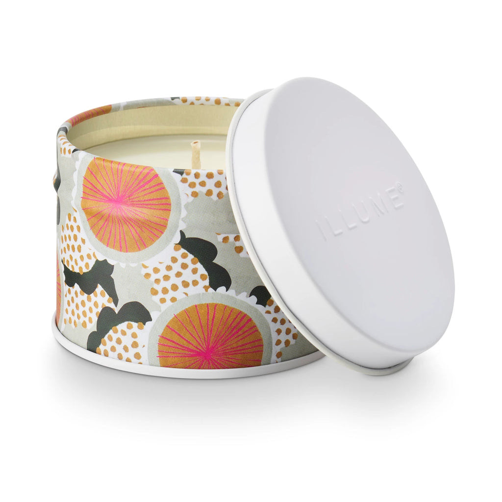 Fragrance- candle

A winding hike through the hills with wild ivy, redwood bark, and peaceful lavender.