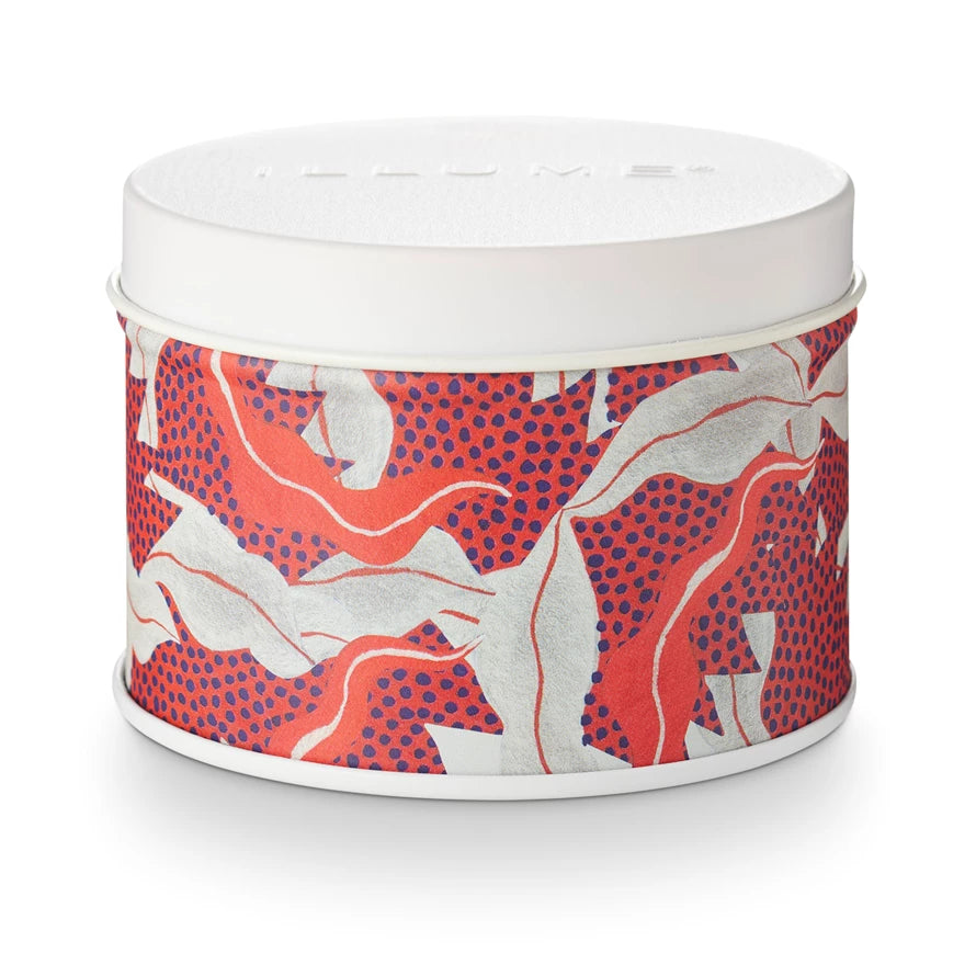 Fragrance- candle

A walk in the rain with dewy drops, spongy green moss, and cleansing eucalyptus.