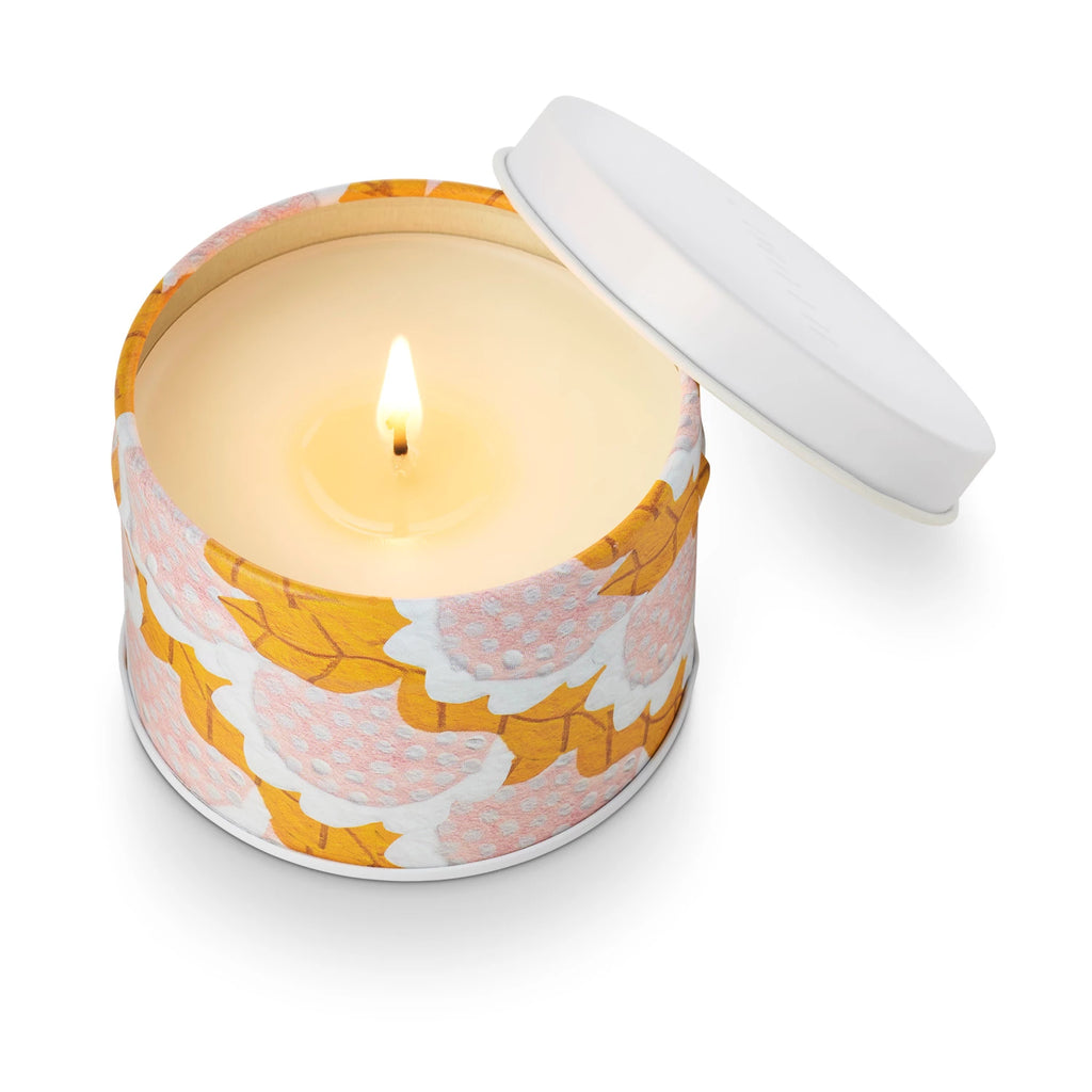 Candle Fragrance

A cloud of fog rolling in with soft mist, coastline calm, and woody vetiver.