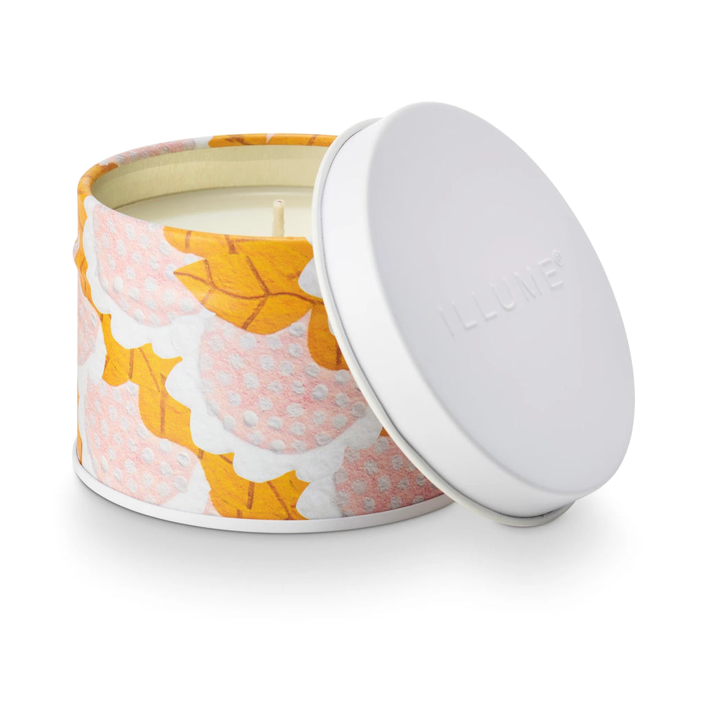 Candle Fragrance

A cloud of fog rolling in with soft mist, coastline calm, and woody vetiver.
