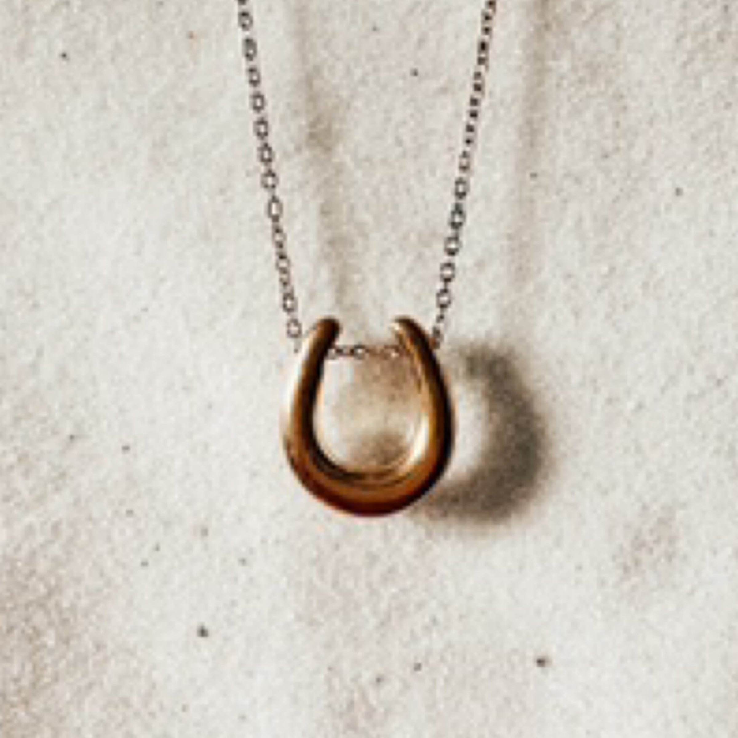 Horseshoe Necklace