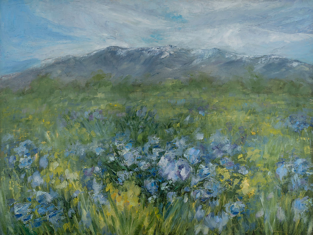 Spring on the Wasatch Front Print